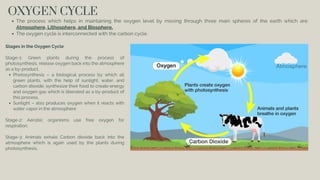 OXYGEN CYCLE
The process which helps in maintaining the oxygen level by moving through three main spheres of the earth which are:
Atmosphere, Lithosphere, and Biosphere.
The oxygen cycle is interconnected with the carbon cycle.
Stages in the Oxygen Cycle
Stage-1: Green plants during the process of
photosynthesis, release oxygen back into the atmosphere
as a by-product.
Photosynthesis – a biological process by which all
green plants, with the help of sunlight, water, and
carbon dioxide, synthesize their food to create energy
and oxygen gas which is liberated as a by-product of
this process.
Sunlight – also produces oxygen when it reacts with
water vapor in the atmosphere
Stage-2: Aerobic organisms use free oxygen for
respiration.
Stage-3: Animals exhale Carbon dioxide back into the
atmosphere which is again used by the plants during
photosynthesis.
 