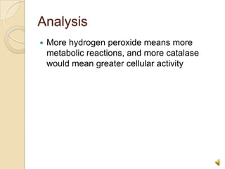 AnalysisMore hydrogen peroxide means more metabolic reactions, and more catalase would mean greater cellular activity