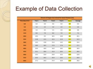 Example of Data Collection