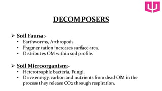 Decomposition process in organic manure | PPTX