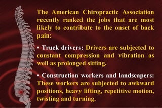 The American Chiropractic Association
recently ranked the jobs that are most
likely to contribute to the onset of back
pain:
• Truck drivers: Drivers are subjected to
constant compression and vibration as
well as prolonged sitting.
• Construction workers and landscapers:
These workers are subjected to awkward
positions, heavy lifting, repetitive motion,
twisting and turning.

 
