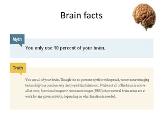 Brain facts

 