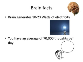 Brain facts
• Brain generates 10-23 Watts of electricity

• You have an average of 70,000 thoughts per
day

 