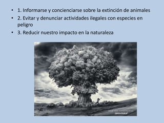 • 1. Informarse y concienciarse sobre la extinción de animales
• 2. Evitar y denunciar actividades ilegales con especies en
peligro
• 3. Reducir nuestro impacto en la naturaleza

 