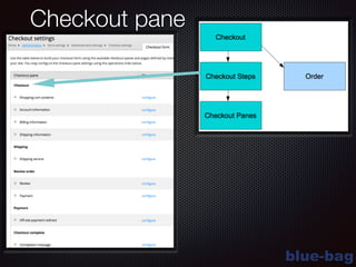 blue-bag
Checkout pane
 