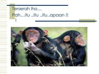 Terserahlho…Pah…itu ..itu ..itu..apaan !!!