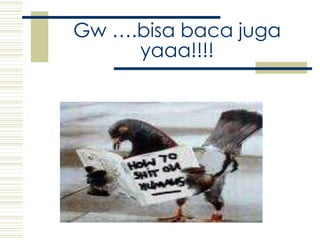Gw ….bisabacajugayaaa!!!!