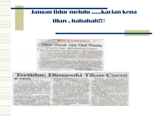 Jangantidurmelulu …..kaciankenatikus , hahahah!!!!    