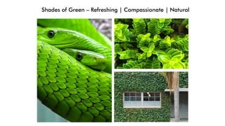 Shades of Green – Refreshing | Compassionate | Natural
 
