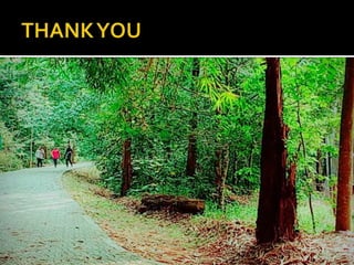 Deconstruction as a literary theory 