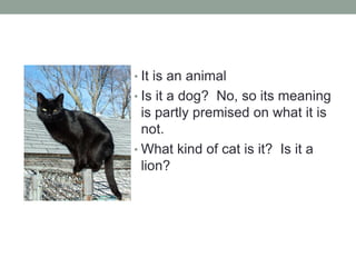 • It is an animal
• Is it a dog? No, so its meaning
is partly premised on what it is
not.
• What kind of cat is it? Is it a
lion?
 