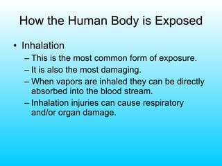 How the Human Body is Exposed Inhalation This is the most common form of exposure. It is also the most damaging. When vapors are inhaled they can be directly absorbed into the blood stream. Inhalation injuries can cause respiratory and/or organ damage. 