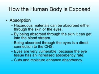 How the Human Body is Exposed Absorption Hazardous materials can be absorbed either through the skin or the eyes. By being absorbed through the skin it can get into the blood stream. Being absorbed through the eyes is a direct connection to the CNS. Eyes are very vulnerable  because the eye tissue has an increased absorbency rate. Cuts and moisture enhance absorbency. 
