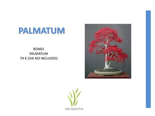 PALMATUM
BON01
PALMATUM
74 € (IVA NO INCLUIDO)
 