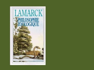 Decoración del aula de francés