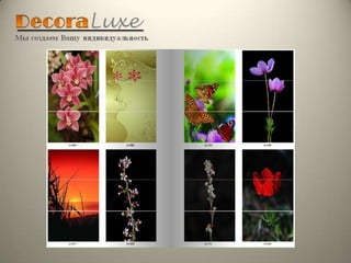 Decoraluxe лифт   s