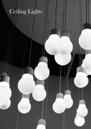 04
Ceiling Lights
 