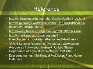 Reference
• http://philippinegarden.com/html/gallery/gallery_dd.html
• http://exploreagri.wordpress.com/2011/08/24/dracaena-
decorative-foliage-plant/
• http://www.philstar.com/gardening/520670/dracaena
• http://en.wikipedia.org/w/index.php?
title=Dracaena_hookeriana&action=edit&redlink=1
• "GRIN Species Records of Dracaena". Germplasm
Resources Information Network. United States
Department of Agriculture. Retrieved 2011-02-07.
• Dracaena names. Multilingual Multiscript Plant Name
Database.
 