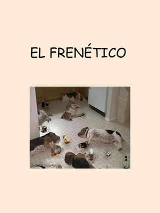 EL FRENÉTICO   
