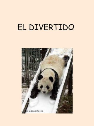 EL DIVERTIDO  