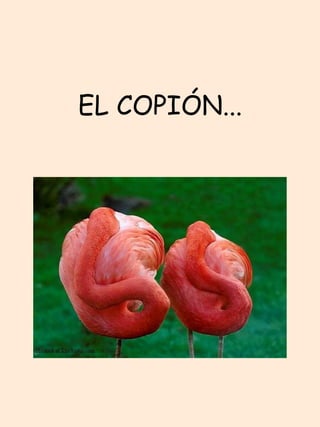 EL COPIÓN... 