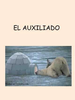 EL AUXILIADO  