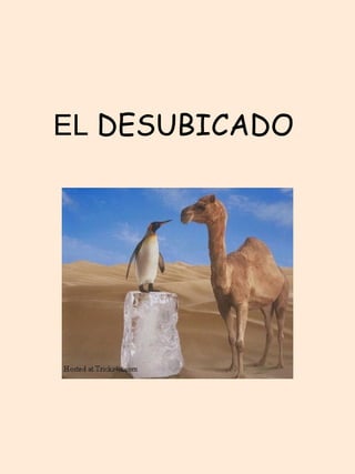 EL  DESUBICADO   