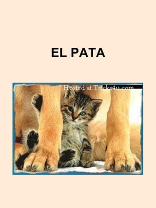 EL PATA 
