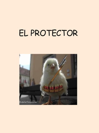 EL PROTECTOR   