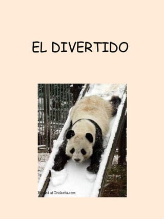 EL DIVERTIDO  