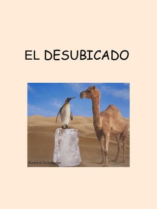 EL  DESUBICADO   