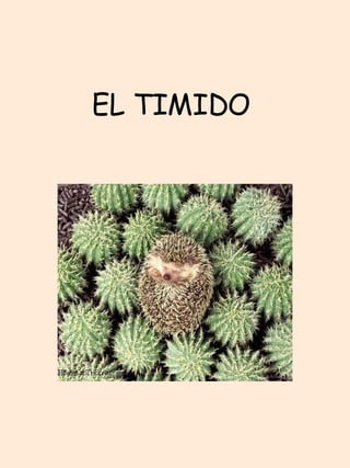 EL TIMIDO  