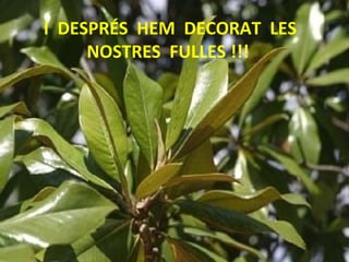 I DESPRÉS HEM DECORAT LES
NOSTRES FULLES !!!
 