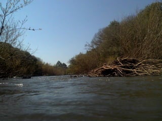 De corrales a tranqueras