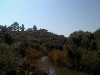 De corrales a tranqueras