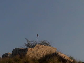 De corrales a tranqueras