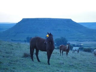 De corrales a tranqueras