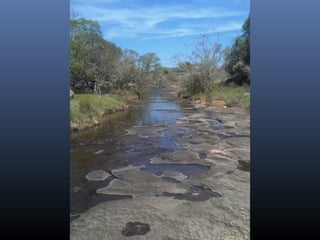 De corrales a tranqueras