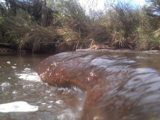 De corrales a tranqueras