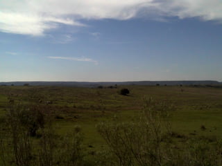 De corrales a tranqueras