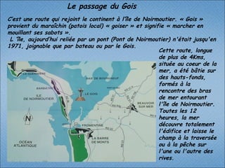 C’est une route qui rejoint le continent à l’île de Noirmoutier. « Gois » provient du maraîchin (patois local) « goiser » et signifie « marcher en mouillant ses sabots ».  L ’île, aujourd’hui reliée par un pont (Pont de Noirmoutier) n'était jusqu'en 1971, joignable que par bateau ou par le Gois. Cette route, longue de plus de 4Kms, située au coeur de la mer, a été bâtie sur des hauts-fonds, formés à la rencontre des bras de mer entourant l'île de Noirmoutier. Toutes les 12 heures, la mer découvre totalement l'édifice et laisse le champ à la traversée ou à la pêche sur l'une ou l'autre des rives. Le passage du Gois  