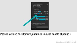 Passez la vidéo en « lecture jusqu’à la fin de la boucle et pause »
Julien Devriendt - CC BY-SA-NC
 