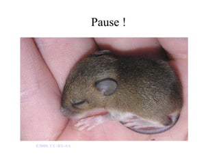 Pause ! E3000. CC-BY-SA 