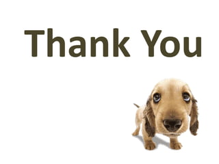 Thank You
 