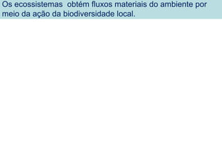 Os ecossistemas obtém fluxos materiais do ambiente por
meio da ação da biodiversidade local.
 