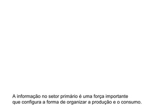 A informação no setor primário é uma força importante
que configura a forma de organizar a produção e o consumo.
 