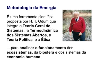 Metodologia da Emergia
É uma ferramenta científica
proposta por H. T. Odum que
integra a Teoria Geral de
Sistemas, a Termodinâmica
dos Sistemas Abertos, a
Teoria Política e a Ética
... para analisar o funcionamento dos
ecossistemas, da biosfera e dos sistemas da
economia humana.
 