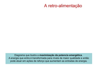 Diagrama que ilustra a maximização da potencia emergética.
A energia que entra é transformada para níveis de maior qualidade e então
pode atuar em ações de reforço que aumentam as entradas de energia.
A retro-alimentação
 