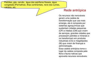 Os recursos não renováveis
geram uma cadeia de
transformação que usa mais
emergia, ela é composta por
sistemas agroquímicos que
sustentam cidades pequenas
(CP) e médias (CM) que vivem
de serviços, grandes cidades que
processam petróleo e minerais e
os transformam em produtos
industriais (CG) e megalópoles
(M) que vivem de finanças e
administração.
Petróleo, gás, carvão, água dos aqüíferos fósseis, água
congelada (Permafrost, ilhas continentais, neve dos cumes,
calcário, etc.
Rede antrópica
Essa cadeia antrópica toma o
lugar da cadeia composta pela
flora e fauna nativas que
aproveita recursos renováveis.
 