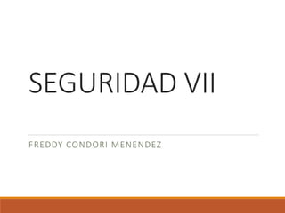 SEGURIDAD VII
FREDDY CONDORI MENENDEZ
 